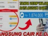 Cuma 5 menit, 10 pinjol Tanpa ktp Langsung cair