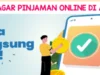 Tips And Trik Cara Pinjaman Pinjol mudah di Acc, Langsung Cair!