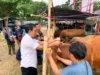 Dinas Pertanian dan Ketahanan Pangan (DPKP) Kabupaten Karawang Pastikan Kesehatan Hewan Kurban