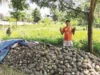 Adi Gustira Petani Muda Asal Bunihayu