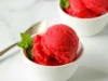 Buat Resep Sorbet, Hidangan Penutup Es yang Manis dan Nyegerin. Sumber Gambar via Beyond the Chicken Coop