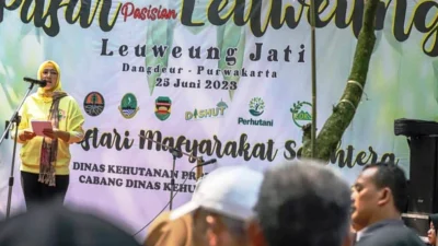 Bupati Anne: Potensi Ekonomi Usaha Kehutanan Beragam dan Prospektif