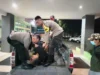 Kepergok Curi Motor, Meregang Nyawa Usai Dihakimi Massa