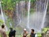 Air terjun