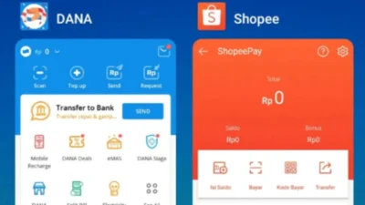 7 Cara Transfer DANA ke Shopee, Dijamin Anti Ribet Auto Kirim (Image From: Flip)