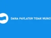 Waduh, DANA Paylater Tidak Muncul? Jangan Panik, Ada Solusinya, Sis! Sumber Gambar via Sakudigital