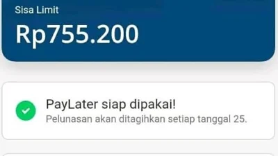 Spall-spill Cara Menggunakan DANA Paylater Gaskeun No Ribet-ribet! Sumber Gambar via Amurya