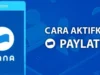 Cara Daftar Dana Paylater