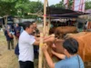 Jelang Idul Adha 2023, DPKP Karawang Siapkan Pengecekan Kesehatan Hewan Kurban