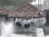 DKP Jabar Menyebar 300.000 Benur Udang Vannamei di Karawang
