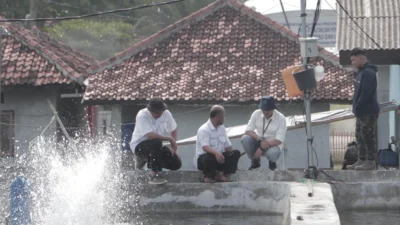 DKP Jabar Menyebar 300.000 Benur Udang Vannamei di Karawang