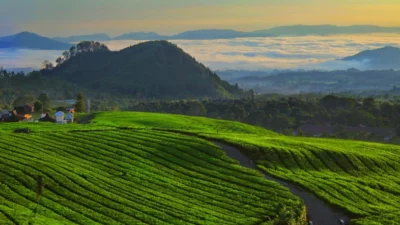 10 Wisata Subang yang Wajib kamu kunjungi Bareng Keluarga dan Ayang