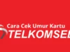 3 Cara Cek Umur Kartu Telkomsel dengan Mudah