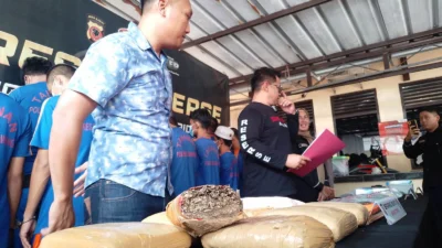 Polisi Amankan Dua Bandar Besar Ganja Wilayah Pantura, Barang Bukti 5,3 Kilogram