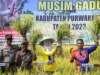 Purwakarta Surplus Pangan, Diprediksi Capai 197.720 Ton GKG
