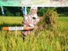 Lima Tahun Produksi Jutaan Ton Padi, Purwakarta Perkuat Hanpang Nasional