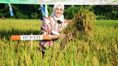 Lima Tahun Produksi Jutaan Ton Padi, Purwakarta Perkuat Hanpang Nasional