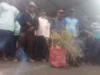 Gagal Panen, Petani di Karawang Merugi Ratusan Juta