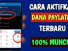 Cara Mengaktifkan Dana Paylater