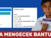 3 Cara Cek PIP SD yang Belum Dicairkan, Panduan Praktis dan Efektif di pip.kemdikbud.go.id Lewat Hp