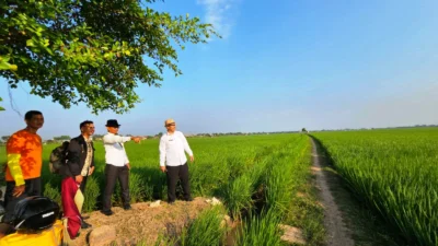 Pemerintah Kecamatan Tambakdahan Dukung Pembangunan Akses Tol Patimban