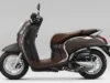 Perbandinngan Harga Antara Honda Scoopy Warna Coklat Dengan Warna Hijau, Mana Yang Lebih Murah?