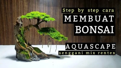 Panduan Cara Membuat Bonsai Aquascape untuk Para Pemula