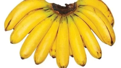 Rekomendasi 5 Jenis Pisang untuk Dikukus: Si Paling Bersinar di Tempatnya! Sumber Gambar via Veggies.my