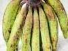 Penting Banget! Temukan Manfaat dari Pisang Tanduk yang Gak Boleh Kamu Lewatkan (Image From: Inaexport)