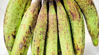 Penting Banget! Temukan Manfaat dari Pisang Tanduk yang Gak Boleh Kamu Lewatkan (Image From: Inaexport)