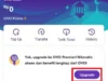 Cara Gampang Daftar OVO dan Upgrade Akun, 5 Menit Langsung Jadi! (image from OVO)