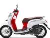 Scoopy 2019 Keunggulan Warna, Teknologi, dan Spesifikasi Terbaik