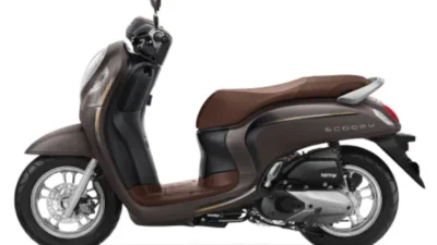 Mengenal Lebih Dekat Scoopy Fashion Brown 2023