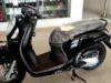 Honda Scoopy Prestige