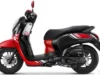 Warna Baru Scoopy 2023