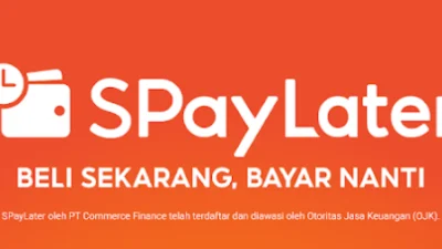 Cara Bayar Shopee PayLater dengan Mudah (Image From: Google Play)