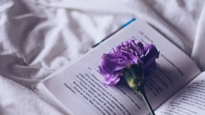 7 Cara Menciptakan Ending Mengesankan Pada Novel (Image From: Pexels/Dina Nasyrova)