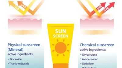 Mengulik Perbedaan Jenis Sunscreen yang Ada di Pasaran: Jangan Sampai Salah Pilih. (Sumber Ilustrasi via Vecteezy)