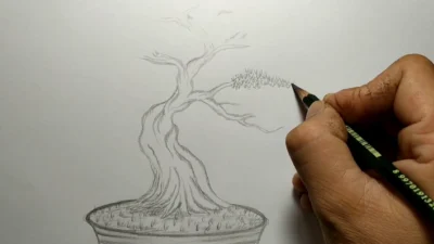 Sketsa Bonsai