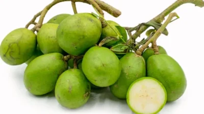 10 Manfaat Buah Kedondong untuk Kesehatan