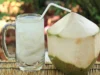 Resep Es Kelapa