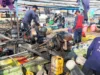 Dampak El Nino Nelayan Tradisional di Pantura Subang Sulit Mencari Ikan
