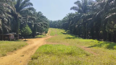 Warga Serangpanjang Desak Bangun Jalur Cipendeuy - Serangpanjang