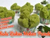 Resep Bolu Pandan Kukus 2 Telur Takaran Sendok Anti Gagal, Dijamin Hasilnya Mengembang Tinggi