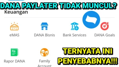 Kenapa Dana Paylater Tidak Tersedia? Pantesan Gak Muncul Pasti Belum di Setting Kayak Gini