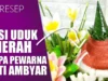 Tumpeng Mini Merah Putih Juara 1 Kekinian Tanpa Pewarna Makanan