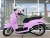 Bocoran Spesifikasi Scoopy Warna Pastel, Bikin Hati Terpikat