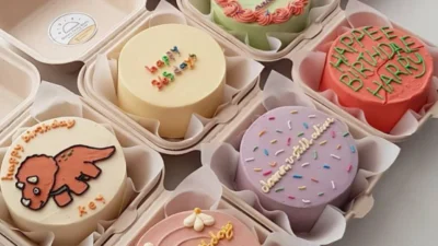 Kue Bento Cake: Mengenal Kelezatan Kue Kekinian ala Korea yang Menggoda Lidah