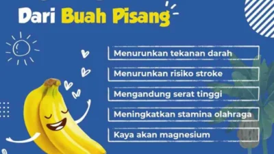 10 Manfaat Pisang Ambon, Buah Tropis Lezat yang Penuh Kesehatan