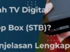 Apakah TV Digital Memerlukan Set Top Box (STB)?: Panduan Lengkap